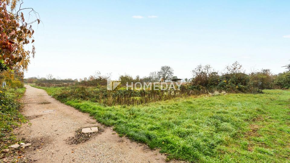 Architektur mit Charakter: großzügige Villa mit Dachterrasse und unverbaubarem Blick ins Grüne – Bild 5