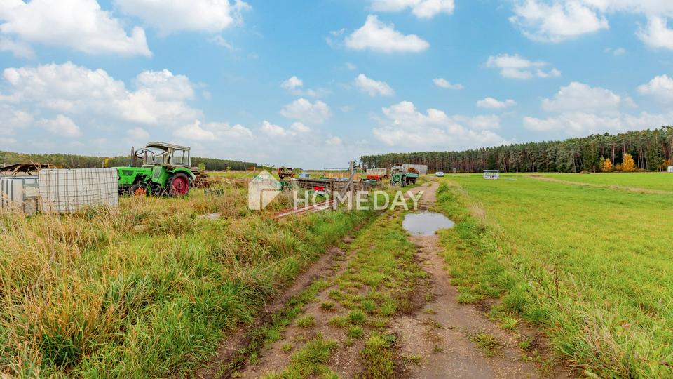 8,79 ha: Großflächiges Areal für Landwirtschaft, Forst und Neugestaltung – Bild 7