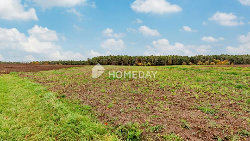 8,79 ha: Großflächiges Areal für Landwirtschaft, Forst und Neugestaltung – Bild 2