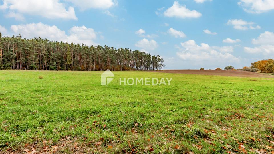 8,79 ha: Großflächiges Areal für Landwirtschaft, Forst und Neugestaltung – Bild 3