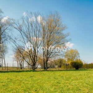 Großzügiges Baugrundstück in ruhiger Wohnlage von Ebersdorf bei Coburg – 1.776 m² nach Bebauungsplan