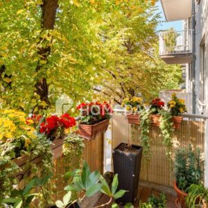 Kapitalanleger aufgepasst: Schöne 2-Zimmer-Wohnung mit Balkon, EBK, Wannenbad, Stellplatz und Keller