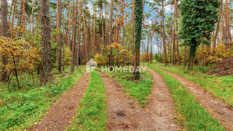 8,79 ha: Großflächiges Areal für Landwirtschaft, Forst und Neugestaltung – Bild 5