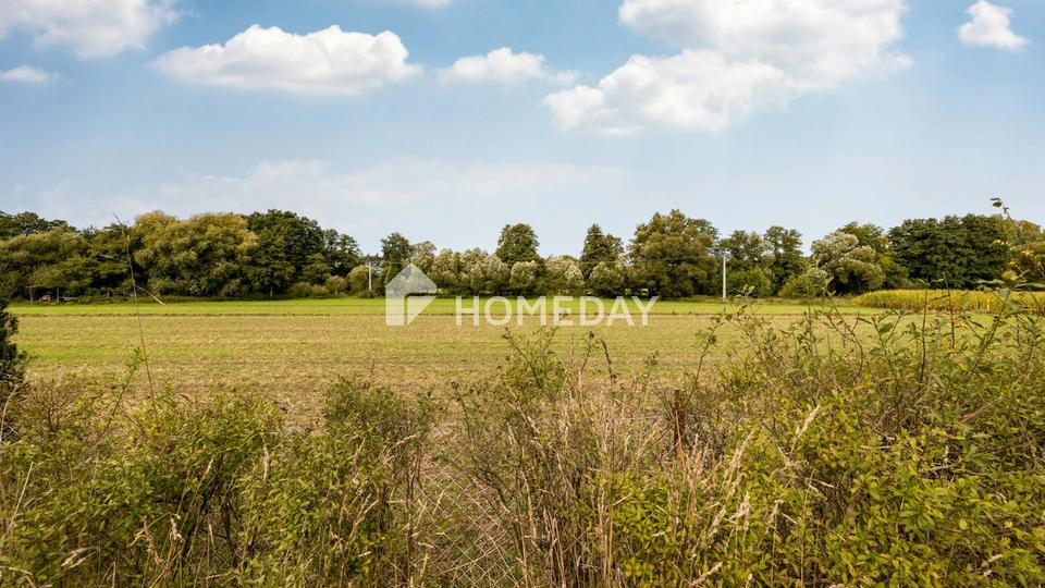 Leerstehendes Zweifamilienhaus - Wohnen und Vermieten unter einem Dach möglich – Bild 10