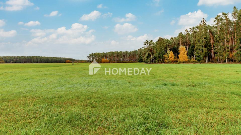 8,79 ha: Großflächiges Areal für Landwirtschaft, Forst und Neugestaltung