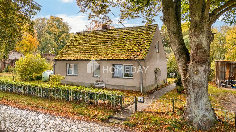 Charmantes EFH mit großem Grundstück, Nebengebäuden und idyllischer Lage in Warnow OT Schlockow – Bild 4