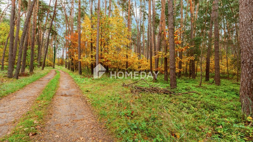 8,79 ha: Großflächiges Areal für Landwirtschaft, Forst und Neugestaltung – Bild 4