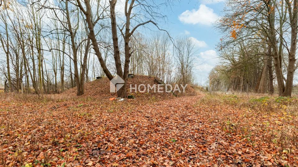 Großflächiges Grundstück mit Seezugang, Bestandsgebäuden und hohem Entwicklungspotenzial – Bild 7