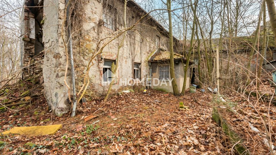 2.130 m² Baugrundstück in attraktiver Lage – verwirklichen Sie Ihr Bauvorhaben! – Bild 7