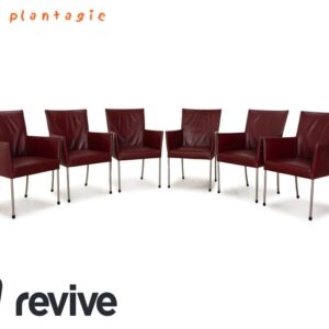 6er Garnitur bert plantagie ARC-E Leder Stuhl Rot Weinrot